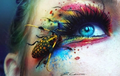 Cách xử trí khi bị côn trùng bay vào mắt